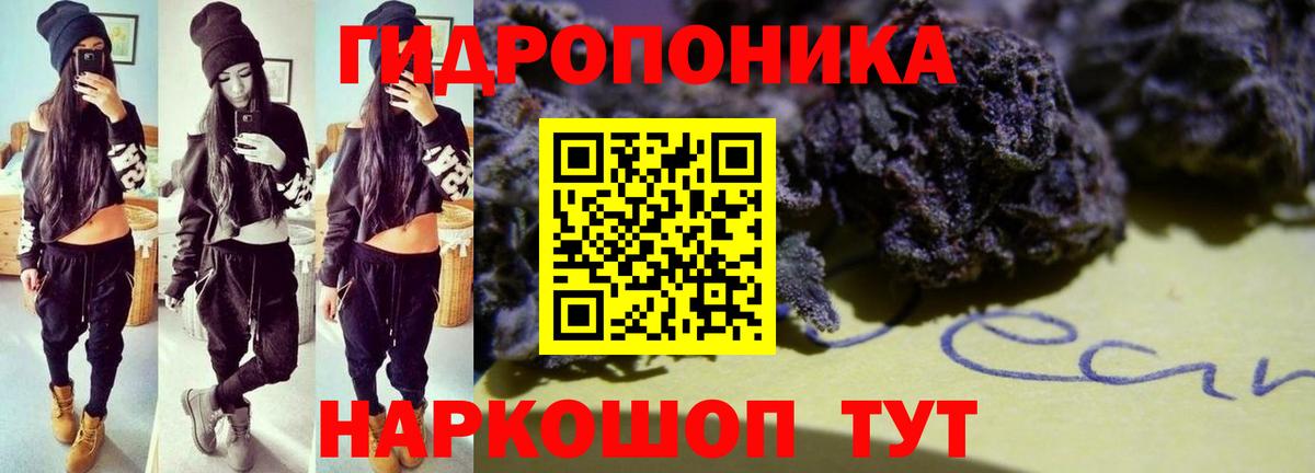 Бошки Шишки планчик  Конопля семена  МАРИХУАНА семена  Кинель  Вход с VPN 